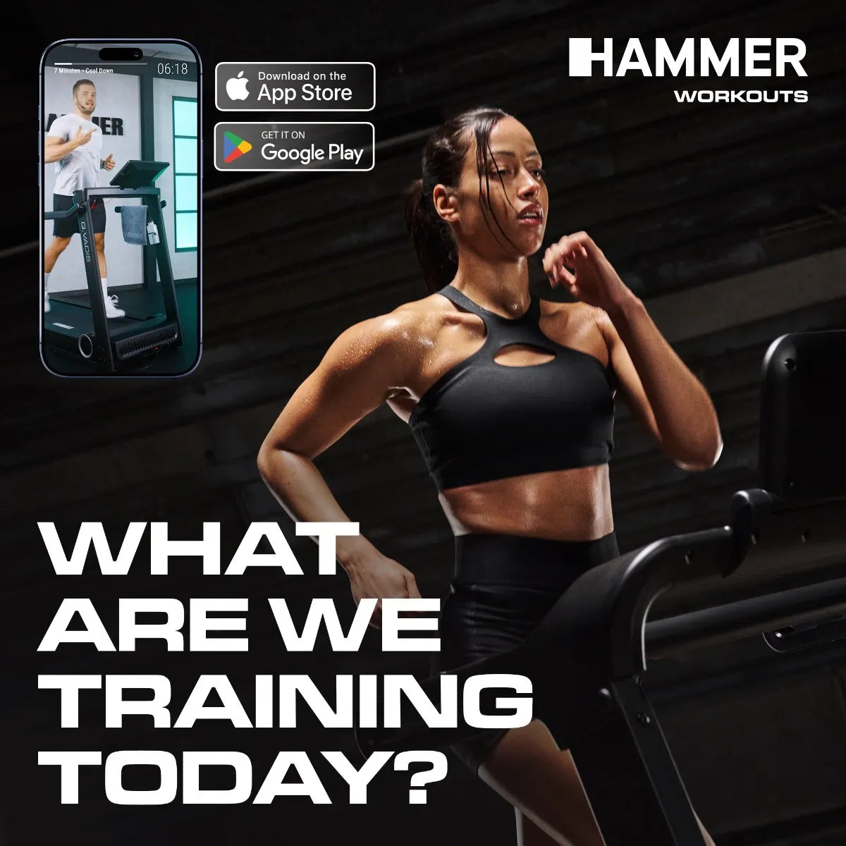 Hammer FlyRun 4.0 Løbebånd