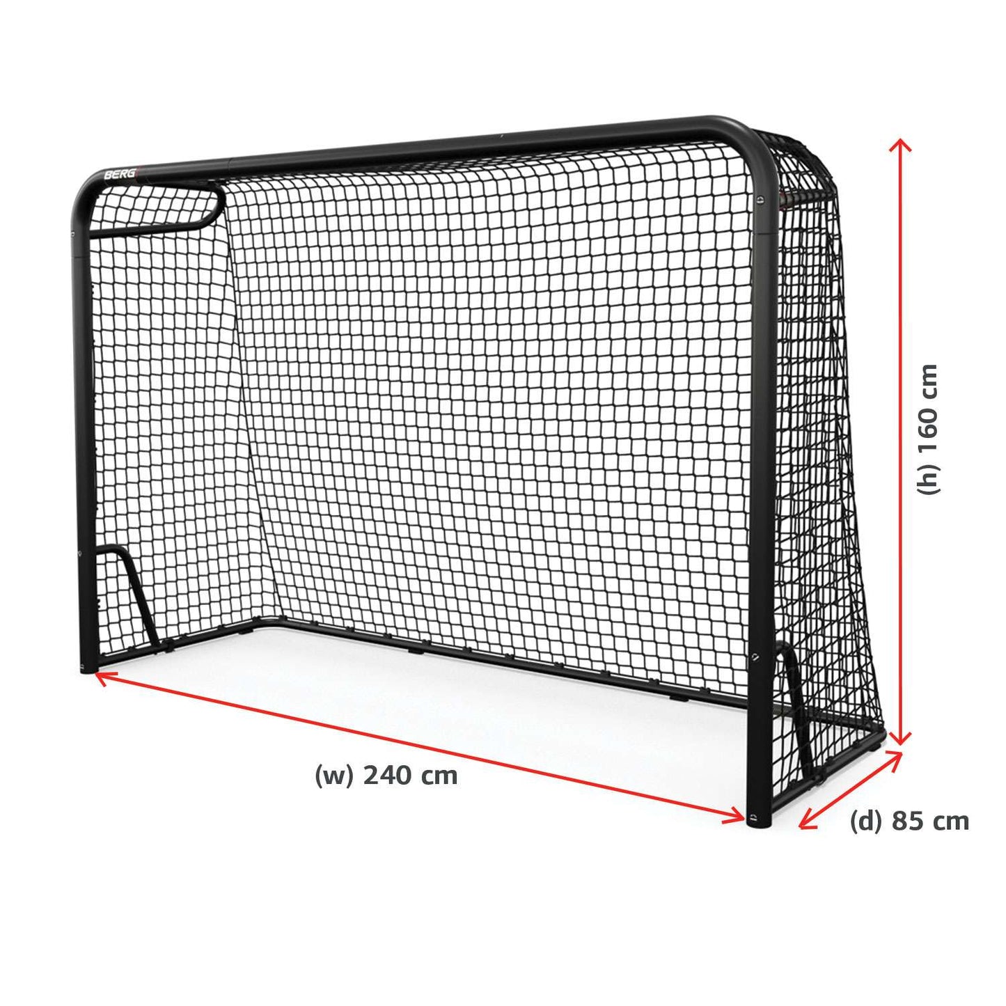 BERG SportsGoal M