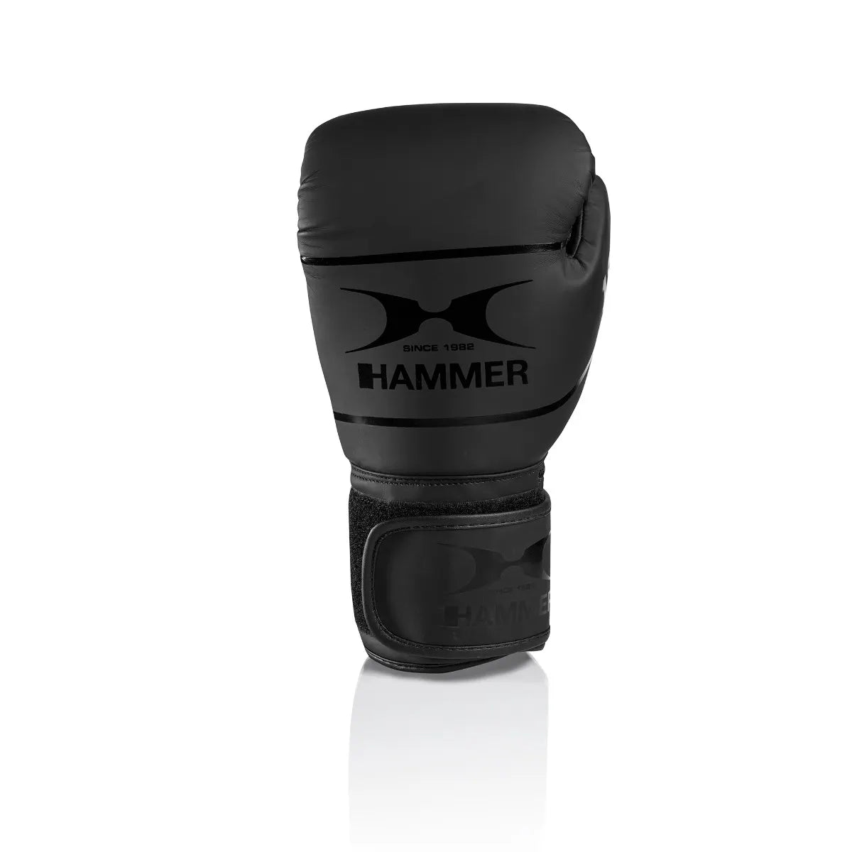 Hammer Fit 3 boxing gloves 6 oz