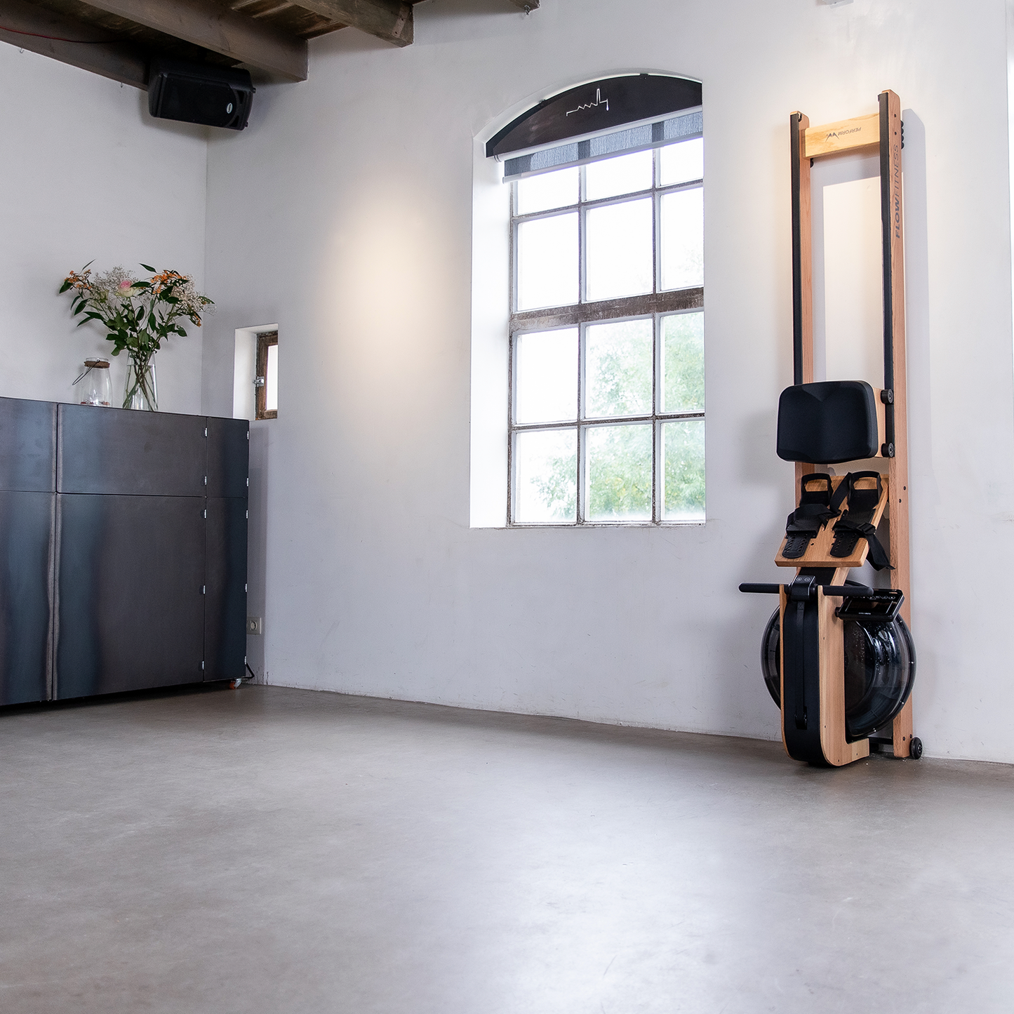 Flow Fitness Perform W9i Vandromaskine