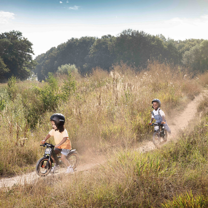 BERG Biky Retro Pink Løbecykel
